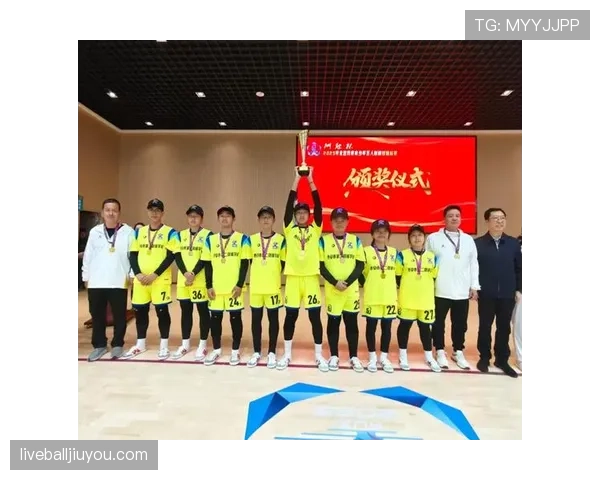 球门尺寸规则：成年与青少年赛宽高及允许误差说明