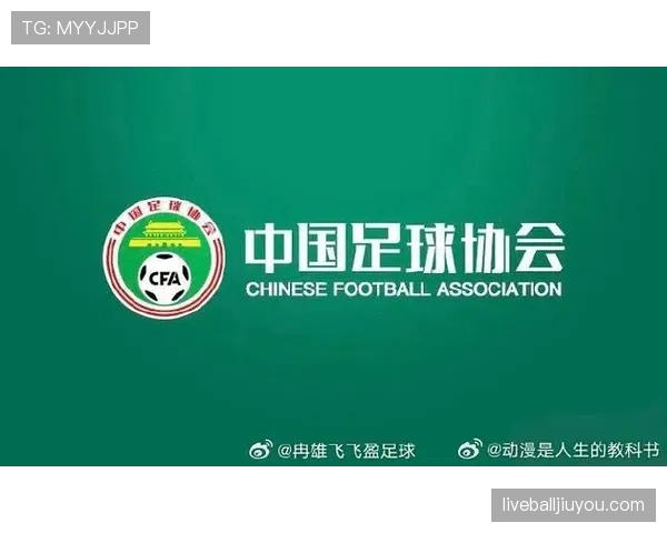 足球规则解释：关键判罚标准与裁判执行细节全面解析
